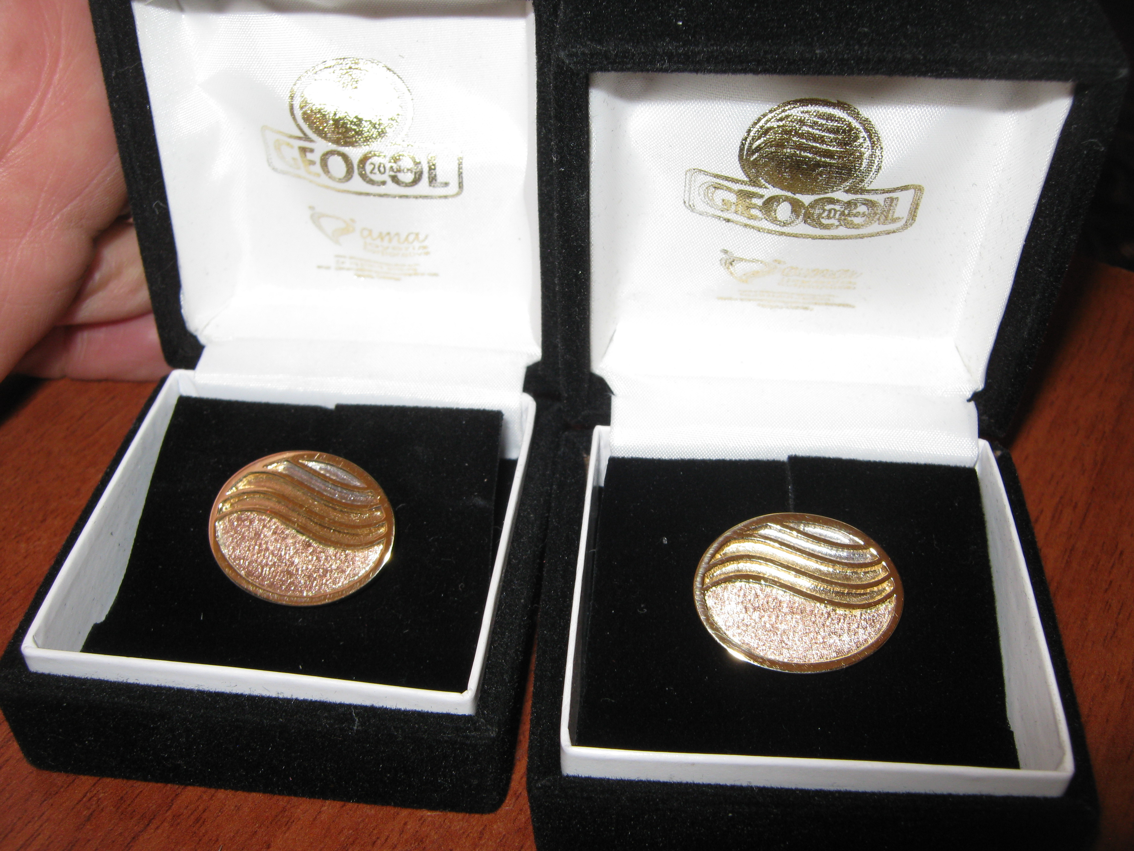 PIN DE SOLAPA EN ORO GEOCOL, AMA JOYERIA CORPORATIVA