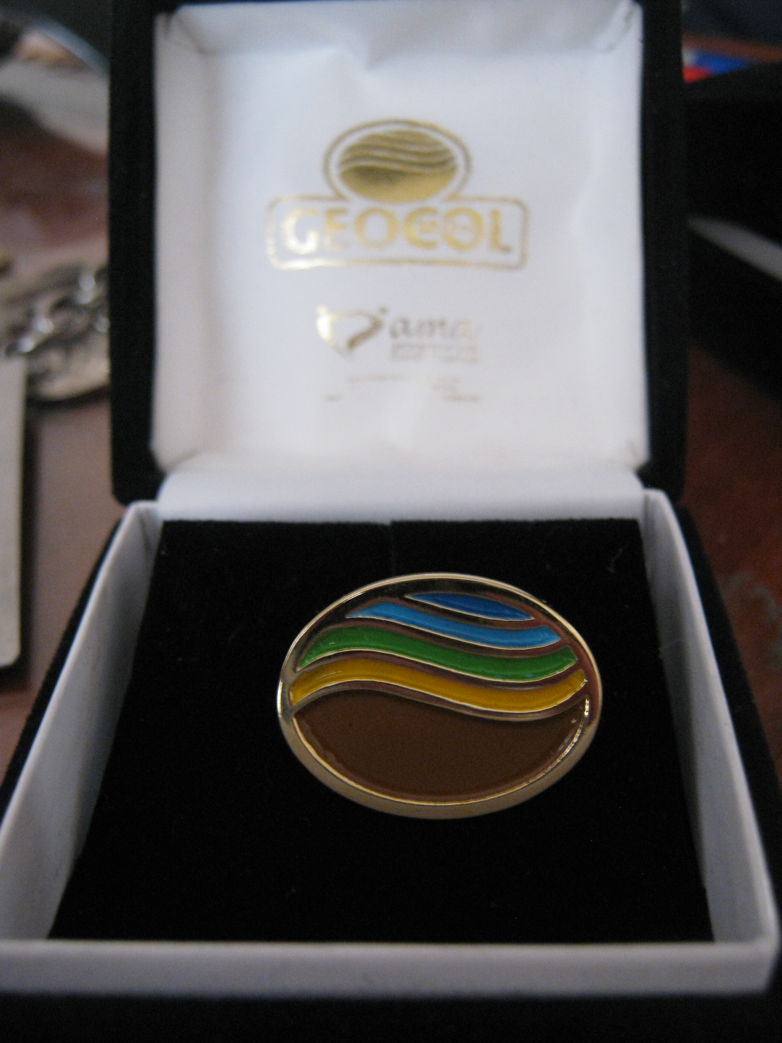 PIN DE SOLAPA EN ORO GEOCOL, AMA JOYERIA CORPORATIVA